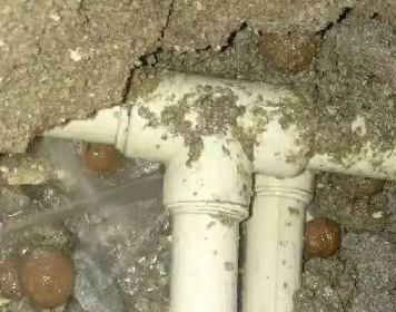 逊克测漏水多少钱