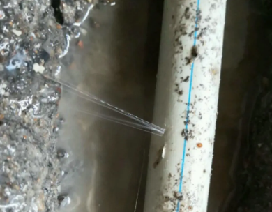 逊克测漏水哪家好