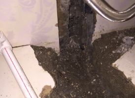 逊克卫生间测漏水哪家好