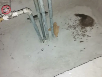 逊克卫生间测漏水价格明细